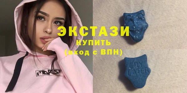 ECSTASY Бородино